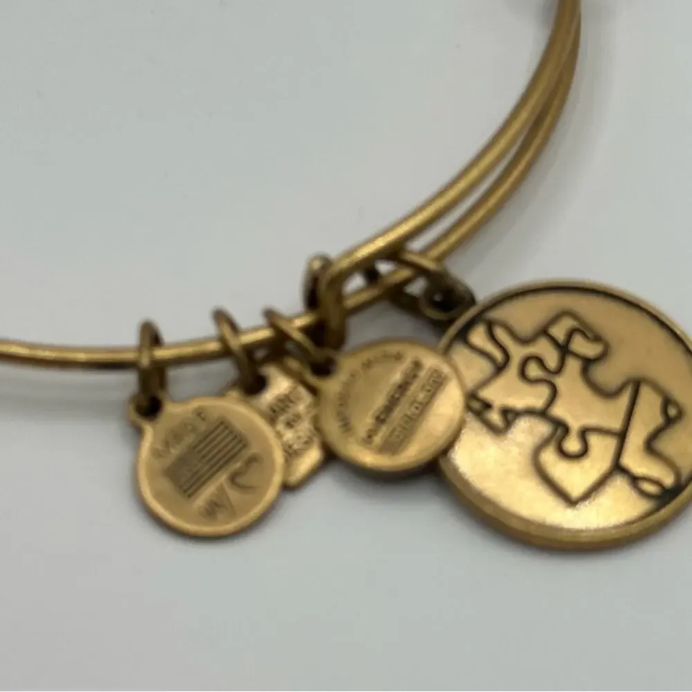 Alex & Ani Bangle Bracelet Charity The Puzzle National Autism
